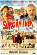 surgun-inek