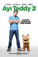 ayi-teddy-2